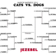 Illustration for article titled Cats vs. Dogs: Judgment Day Has Arrived